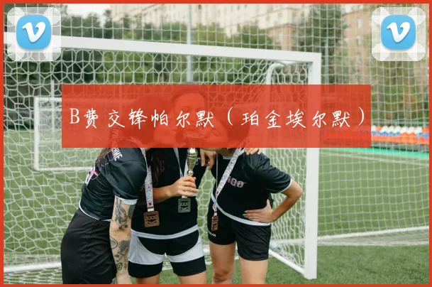 B费交锋帕尔默（珀金埃尔默）