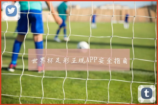 世界杯足彩正规APP安全指南