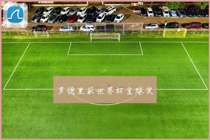 罗德里获世界杯金球奖